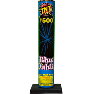 #500 Shell Blue Dahlia