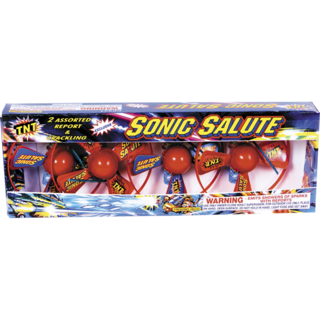 SONIC SALUTE SONIC SALUTE