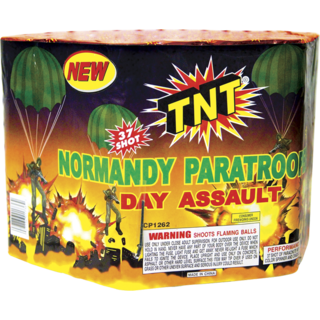 NORMANDY PARATROOPERS NORMANDY PARATROOPERS